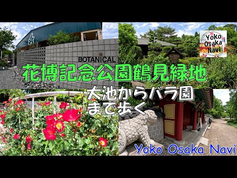 花博記念公園鶴見緑地　大池・大韓民国庭園・日本庭園・カナダオンタリオ州庭園跡・バラ園　新緑が綺麗でした。