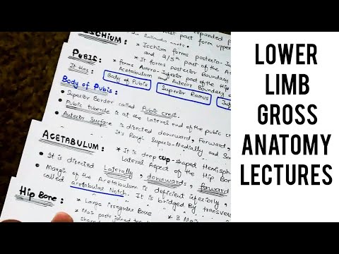 Introduction to Lower Limb Anatomy | Dr. Deen Lectures