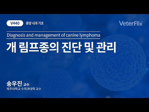 [베터플릭스][종양 내과 기초] 개 림프종의 진단 및 관리(Diagnosis and management of canine lymphoma)