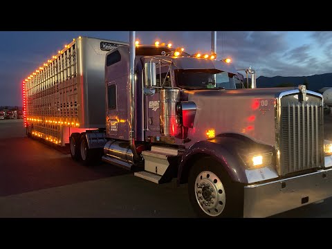 What Kind Of Equipment Do You Need To Haul Livestock? Ep.37