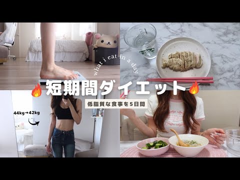 【短期間diet】5日間の低脂質ダイエット❤︎ ストレスなく元の体重に🥰