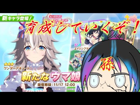 【ウマ娘】ワンダーアキュート初育成！