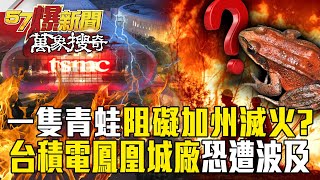 Protecting frogs hinders fire fighting? Is TSMC's Phoenix plant a dangerous hotspot? !