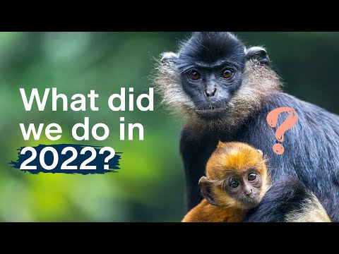 What did we do in 2022? - Fauna & Flora Impact Report