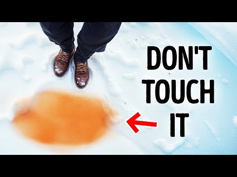 Why Snow This Color Is More Than Just Strange