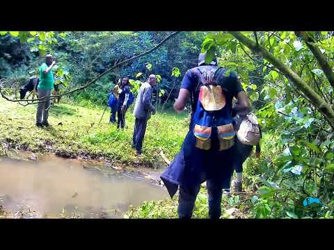 GATAMAIYU FOREST TRAIL | THABA FALLS | HIKERS AFRIQUE