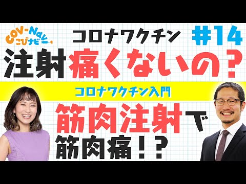 【こびナビ公式】筋肉注射と皮下注射の違い、なぜ筋肉注射なのか？などワクチン接種の素朴な疑問②