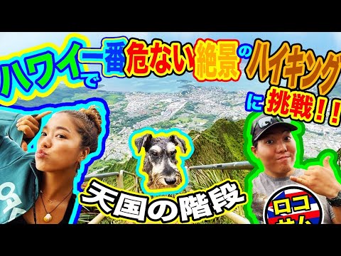 【ハワイ大冒険！】最も時間がかかるハイキングスポットに挑戦してみた！オアフ島１の絶景！？