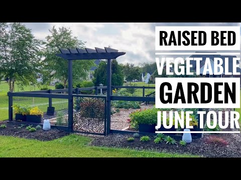 Tour our incredible new raised bed garden!