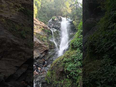 Vibhoothi Falls #explorepage #explore #vibhoothifalls #gokarna #waterfall #lekigoswami #samayraina