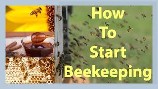 Beekeeping How To Start Beekeeping In 2025