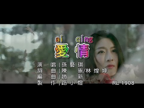 孫藝琪 | 愛情 | (1080P)KTV