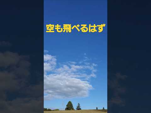 天高く馬肥ゆる秋Ver空も飛べるはず(スピッツ)2024 #music #スピッツ #autumn #osaka #cosmos