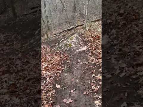 NEW Trail Coming SOON! - Bentonville, AR | The Oz Life #shorts #mtb #new #singletrack