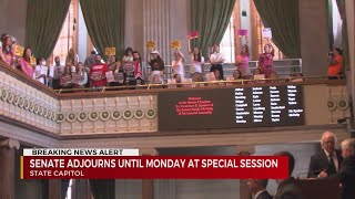 Senate adjourns until Monday at special session