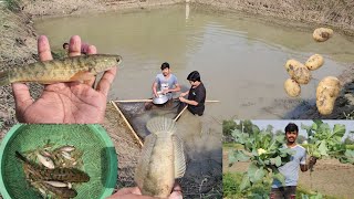 আজ পুকুর থেকে আমরা কত গুলো মাছ ধরলাম । Our Simple Village Life Style Vlog | Village Vloger |