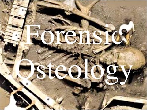 Notes 4 - Forensic Osteology