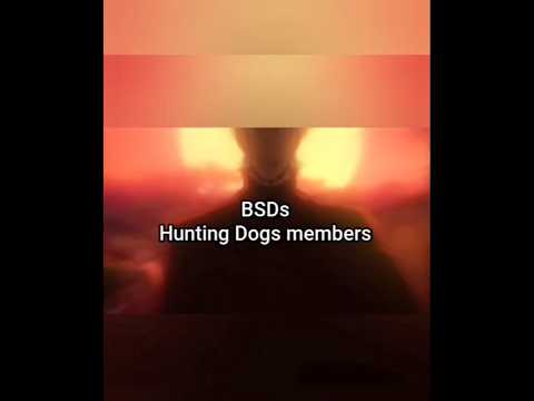 Bungo Stray Dogs anime,the hunting Dogs members