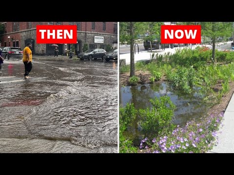 How Turning New York Green Be A Solution To Urban Flooding