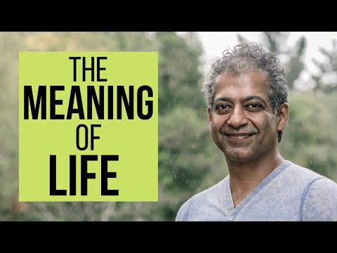 Naval Ravikant - What is The Meaning of Life? 👉  3 Answers that Explain It