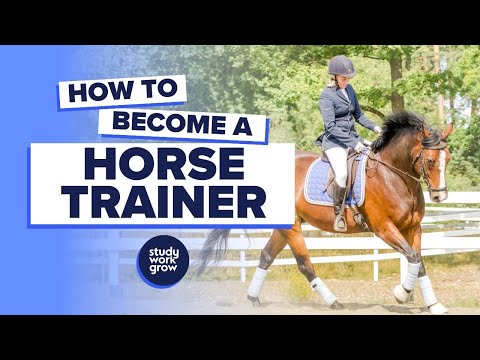 How to become a Horse Trainer