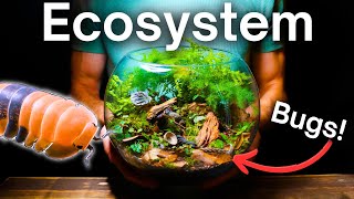 I Made a Terrarium For Tiny Creatures, Here’s How!