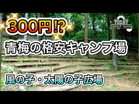 【希少】東京青梅市の格安キャンプ場！風の子・太陽の子広場　格安料金　神奈川　東京　関東　無料&格安キャンプ場