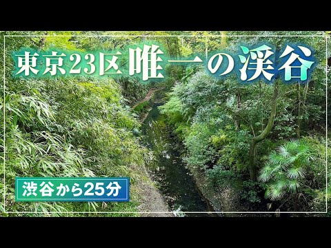 東京23区唯一の渓谷！渋谷から25分で行ける等々力渓谷