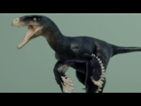 The Dromaeosaurus Experience: Dinosaur World Mobile - Ecosystem 1