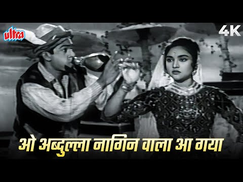 O Abdulla Nagin Wala Aa Gaya 4K (ओ अब्दुल्ला नागिन वाला आ गया) | Lata Mangeshkar, Mohammed Rafi