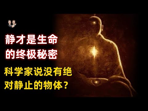 科學家說沒有絕對靜止的物體存在哪怕是石頭！靜才是生命長壽的秘密？|宇哥與小糖