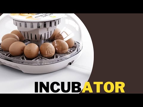 Unboxing an Incubator| Aowoil