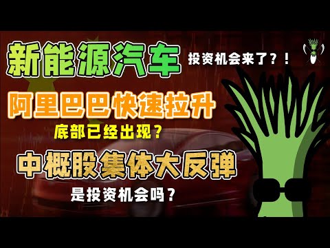 美股 新能源汽车投资机会来袭？BABA快速拉升，底部已经出现？中概股集体大反弹，是投资机会！？ | CHIVEST 带你“聊”美股 | 14.10.2021