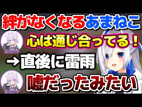 凄いタイミングで雨が降ってきて絆がなくなってしまうあまねこw【ホロライブ切り抜き/猫又おかゆ/天音かなた】