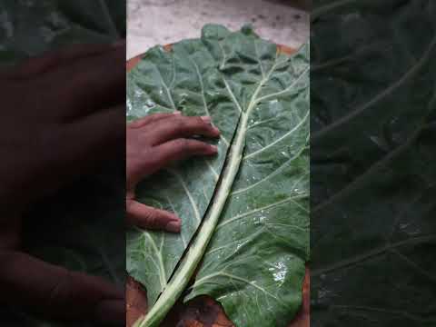 The Best Collard Greens