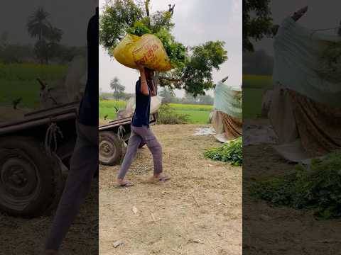 Khetibadi 👨‍🌾🌾#minivlog #farming #desi #trending #viralvideo #shorts