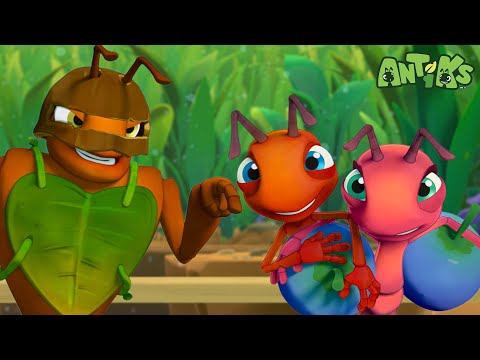 Bridge Battle! | Antiks 🐜 | Funny Cartoons for Kids