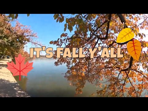 Best Places to See Fall Leaves in D.C. (without a car)