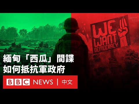 外綠內紅：緬甸「西瓜部隊」的雙重身份－ BBC News 中文