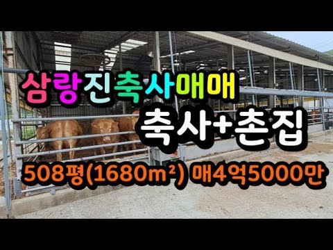 삼랑진 한우축사+촌집매매 매4억5000만