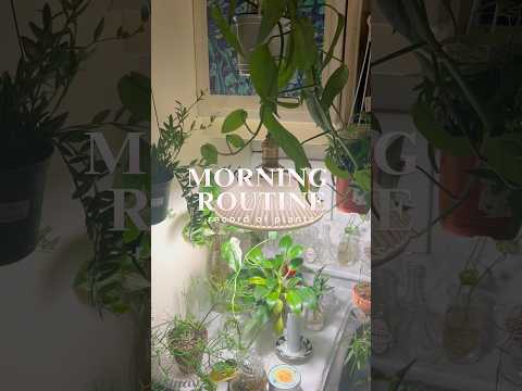 #morning #morningroutine #plants