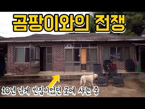 #65 [귀촌 브이로그] 시골집 곰팡이와의 전쟁! (feat. 나레이션ㅋㅋ)