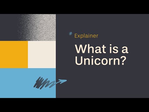 Explainer: What is a Unicorn?