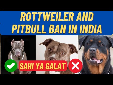 Why Rottweilers and Pitbulls Ban In India || Is it Right or wrong Descision