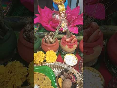 मकर संक्रांती सुगड पूजन | Makar Sankranti #shorts #sankranti