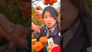 Delicious Sweet Persimmon Fruit 🍑🍑 | Amazing Fresh Fruits Harvest from Farm #shorts #youtubeshorts