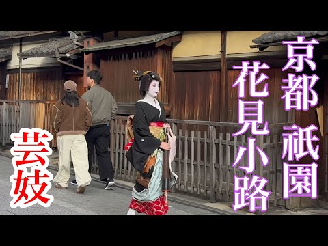 京都祇園 新春の花見小路を往く芸妓さん Walking along Hanamikoji,Kyoto 【4K】