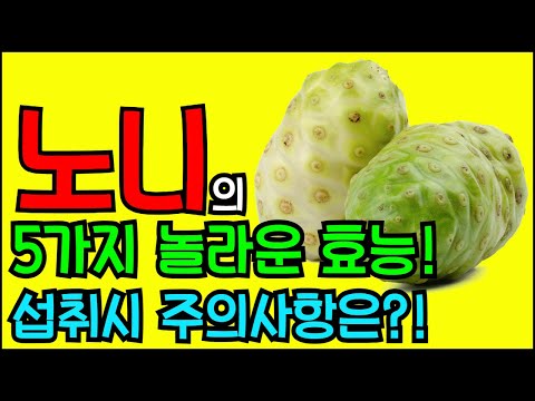 기적의 열매 노니의 놀라운 5가지 효능 & 섭취시 주의사항