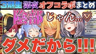 【神回】3期生が深夜にオフコラボしたら本当にアイドルなのか怪しくなったw【ホロライブ切り抜きまとめ】