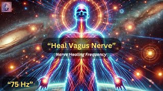 Heal Your Vagus Nerve | (75 Hz) Nerve Healing Frequency, Heal & Repair Nerve Damage | Sound Therapy